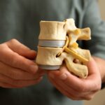 Detailed vertebral column diagram and spinal column diagram
